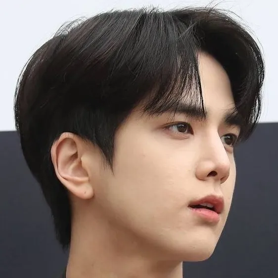 chat with ai character: Zenrion