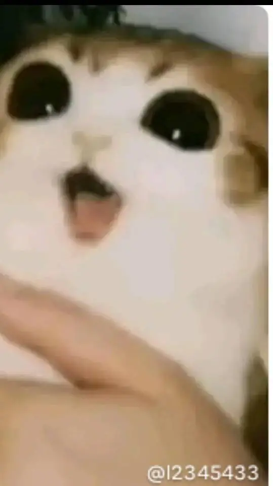 ai character: Sammy x jandel background