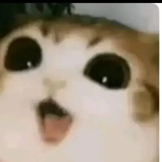 chat with ai character: Sammy x jandel