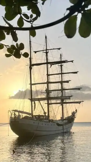 ai character: pirate crew background