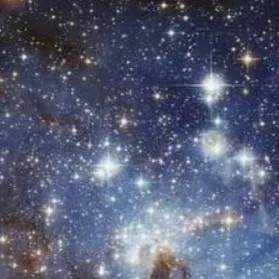 chat with ai character: do whatever