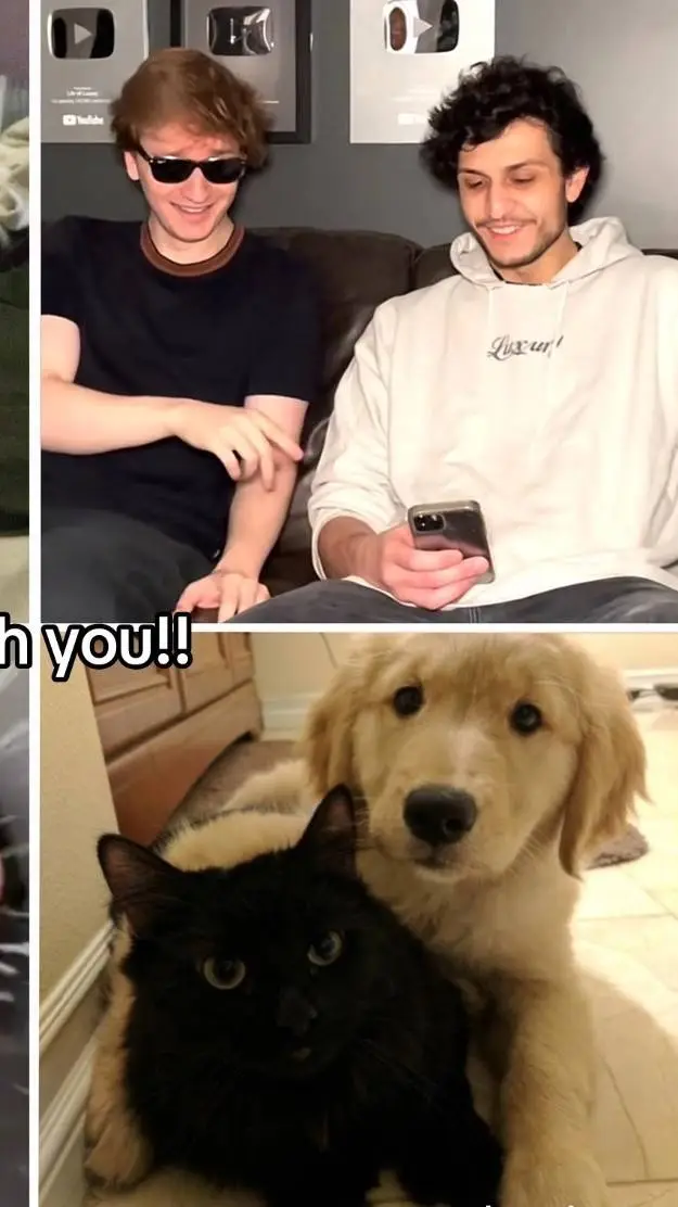 ai character: Chester x Parker  background