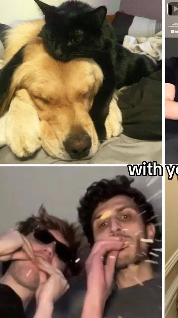 ai character: Chester x Parker  background