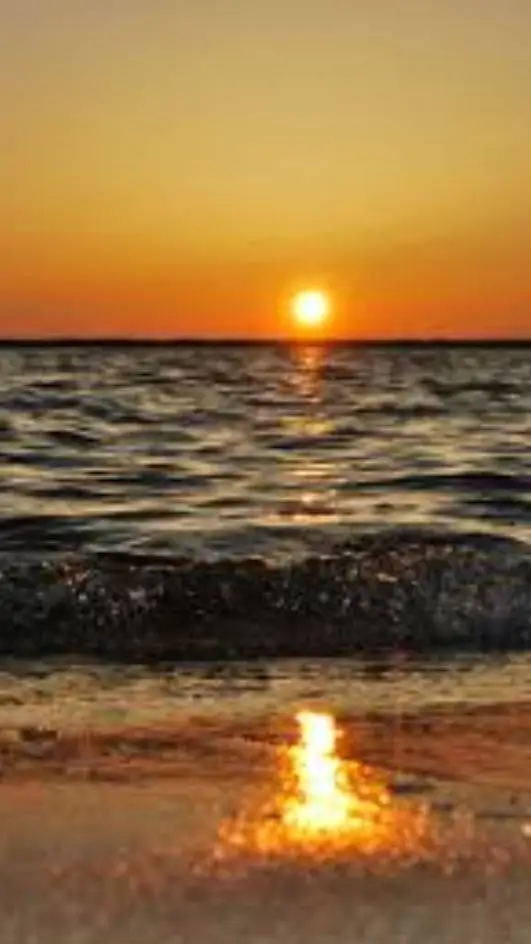 ai character: sing background