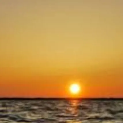 chat with ai character: sing