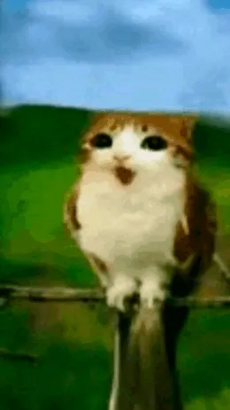 ai character: ♡NICOLE♥︎ background