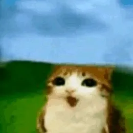 chat with ai character: ♡NICOLE♥︎