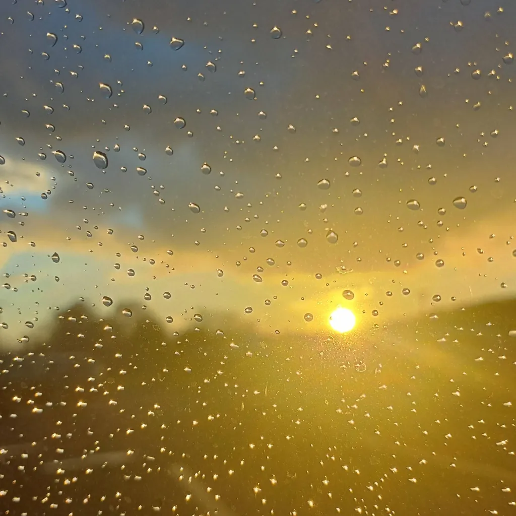 chat with ai character: Mafia boss QUINN