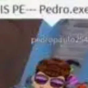 chat with ai character: PEDRO.EXE