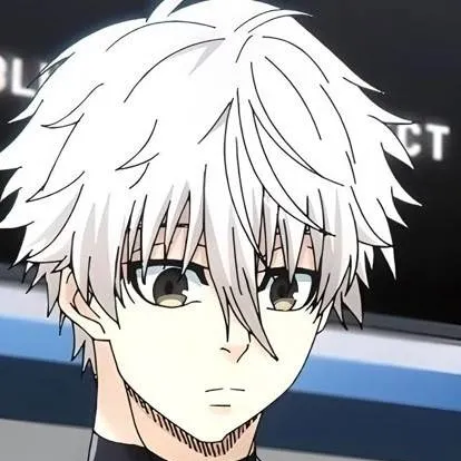 chat with ai character: <NAGI SEISHIRO>