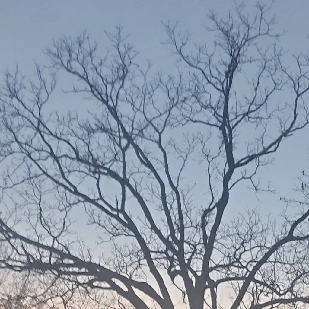 chat with ai character: iCarly 