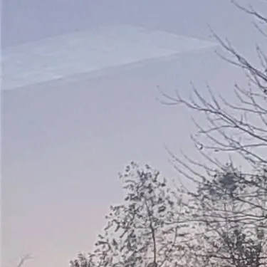 chat with ai character: mlwtwb