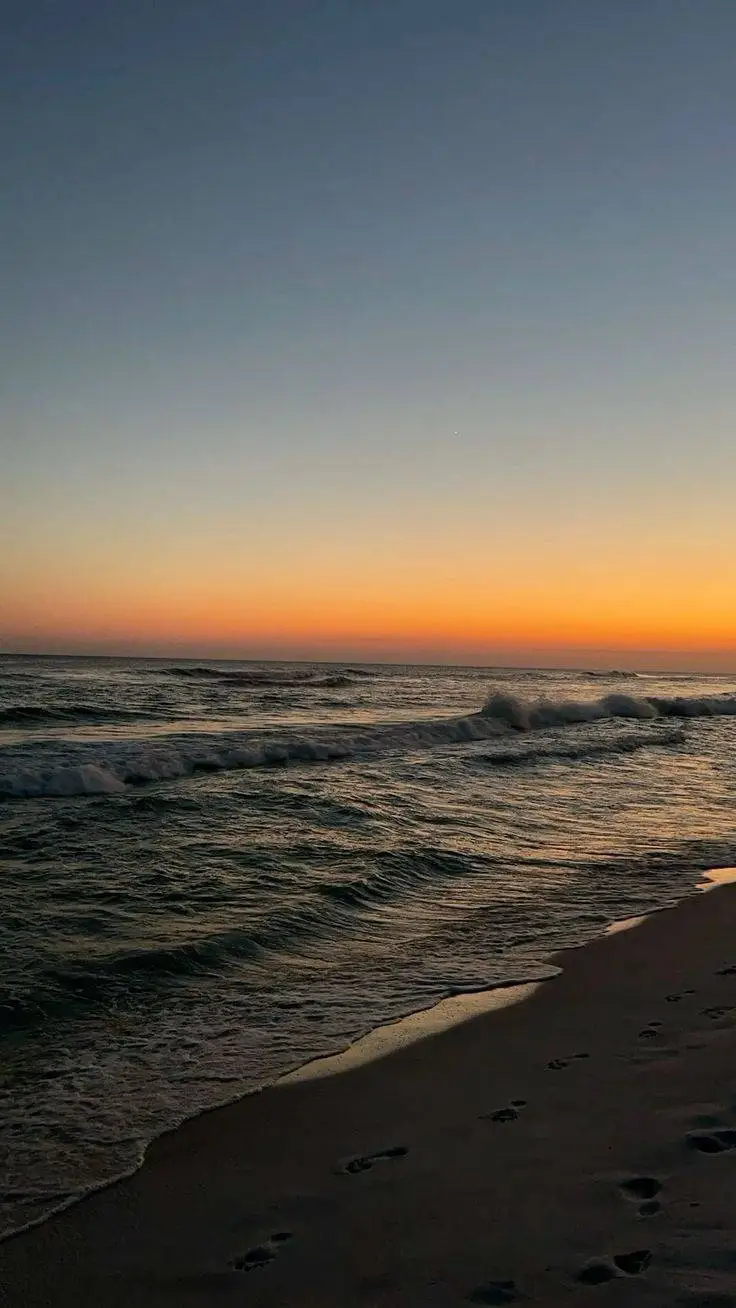 ai character: mlwtwb S2 background