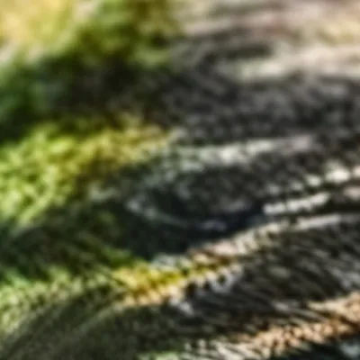 chat with ai character: Sonic crew