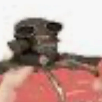 chat with ai character: Pyro>:]