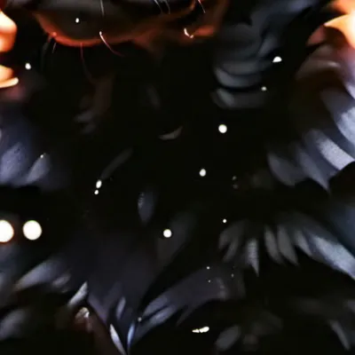 chat with ai character: Tucker my new dog