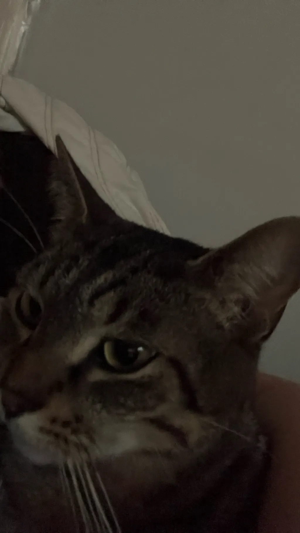 ai character: Its a joke 😂 background