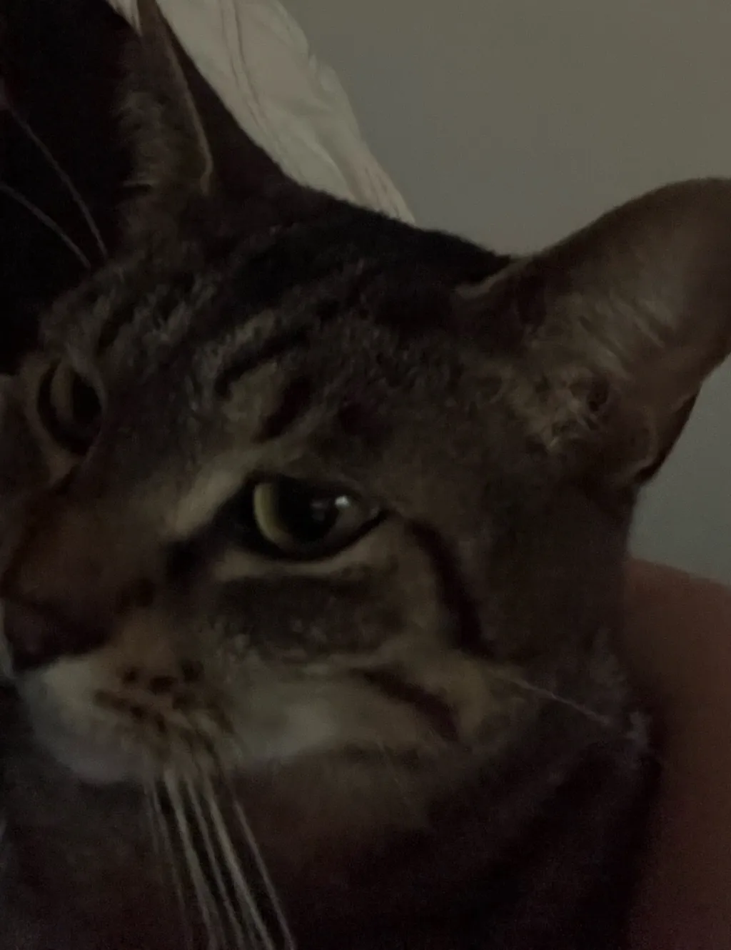 chat with ai character: Its a joke 😂