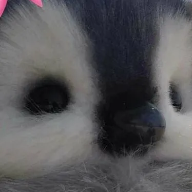 chat with ai character: YESS