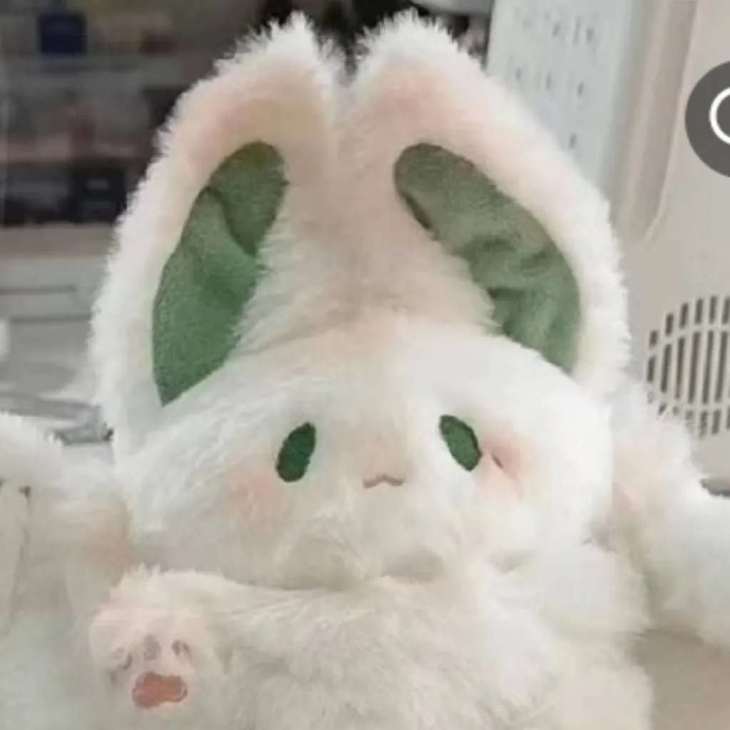 chat with ai character:  FPE SOFT AKA WIMP