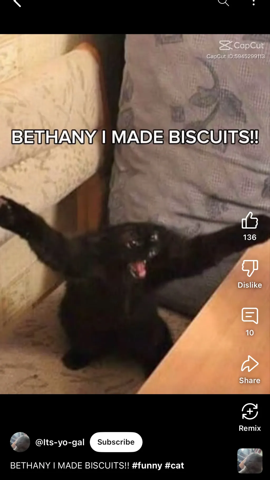 Talkie AI - Chat with Bethany I made bis