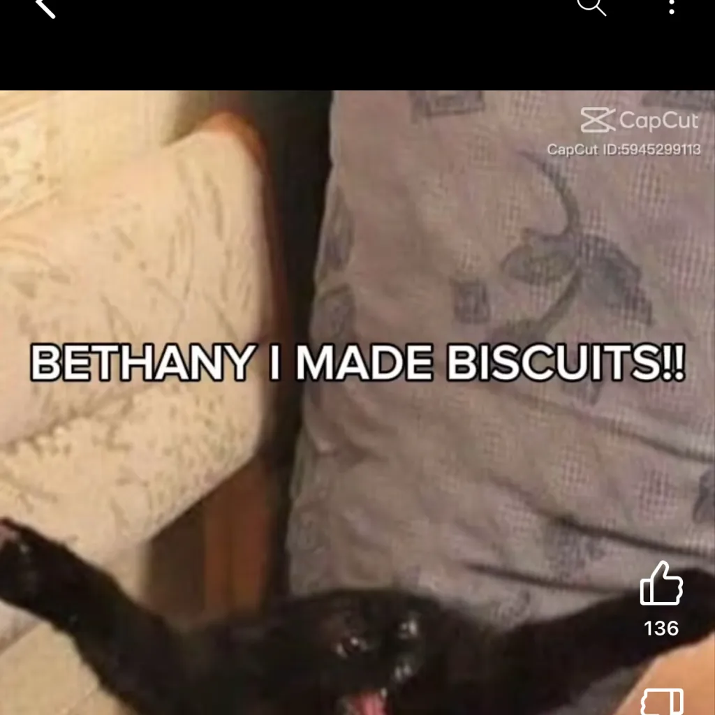 chat with ai character: Bethany I made bis