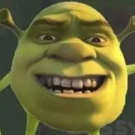 chat with ai character: shrek