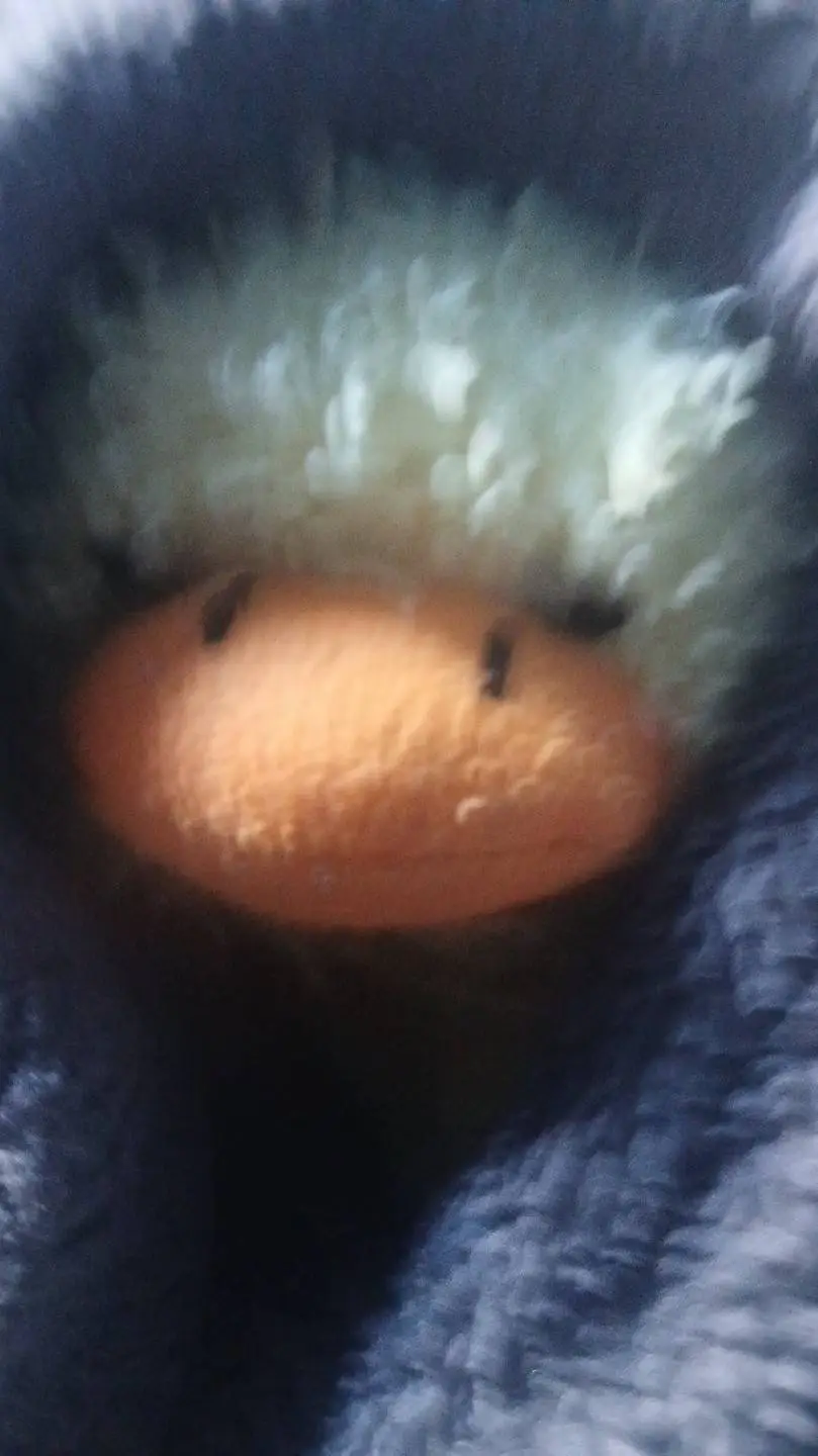 ai character: The duck background