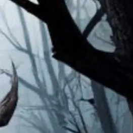 chat with ai character: STALKER