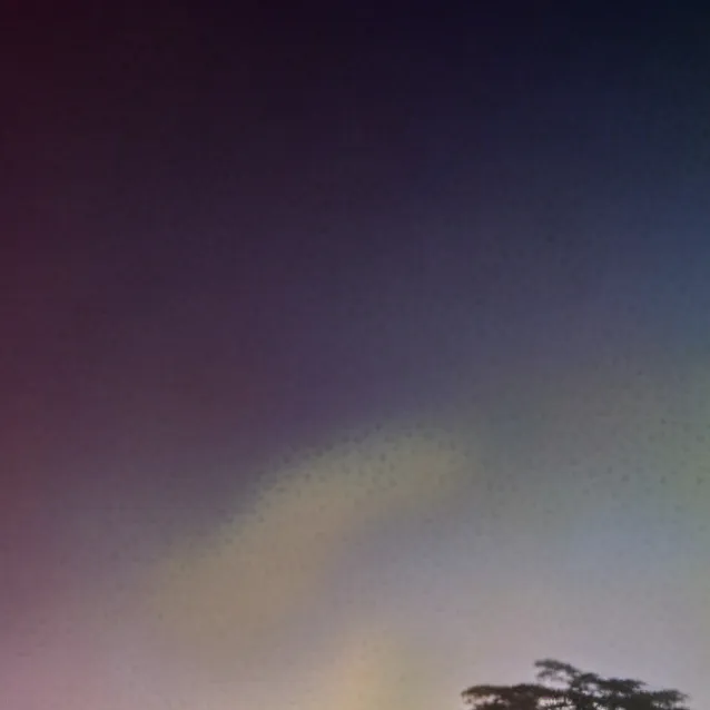 chat with ai character: cosmo x sprout!