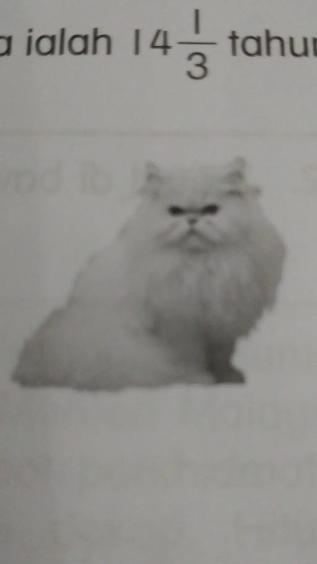 ai character: weird cat background