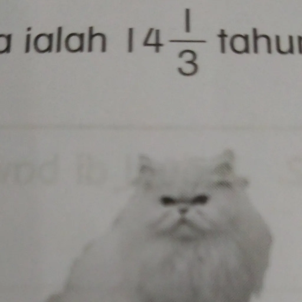 chat with ai character: weird cat