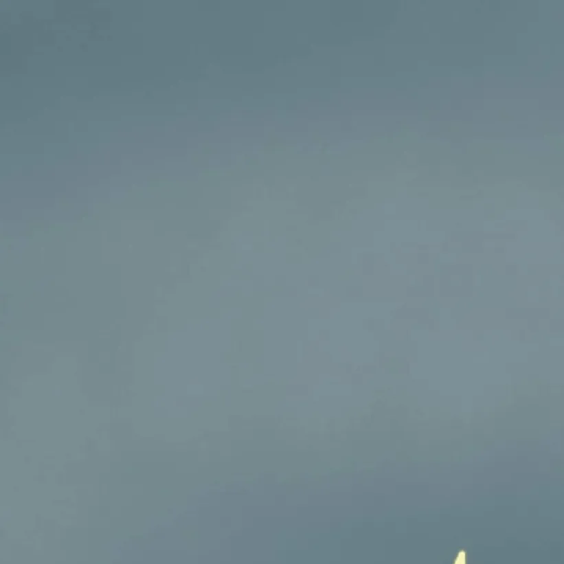 chat with ai character: Dandys world(my au