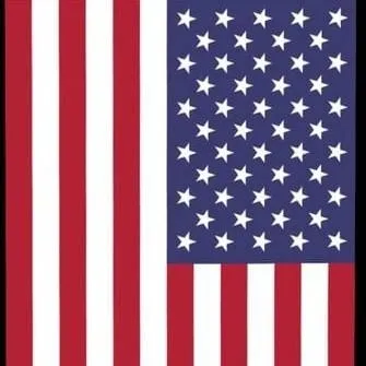 chat with ai character: AMERICA!🇺🇸🦅