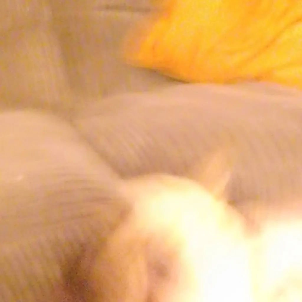 chat with ai character: ascend peanut