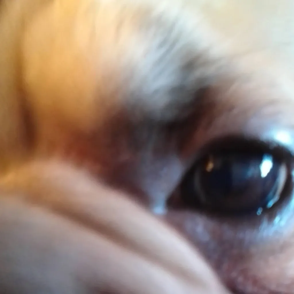 chat with ai character: peanut detecter