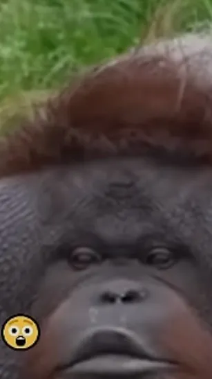 ai character: Zesty Gay Monke background