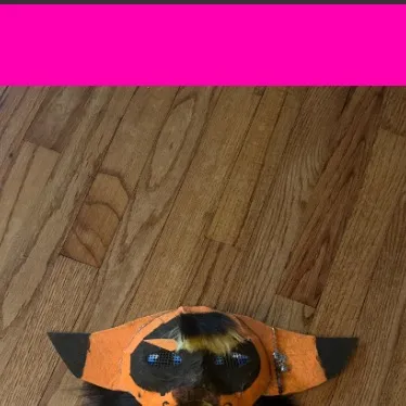 chat with ai character: Gempackage(Me!)