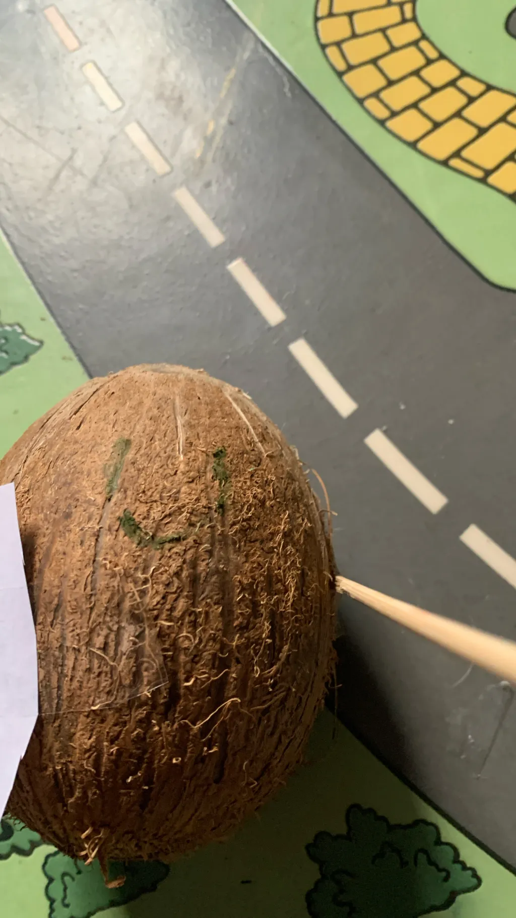 ai character: Coconut knight background