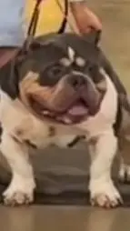 ai character: (You) background