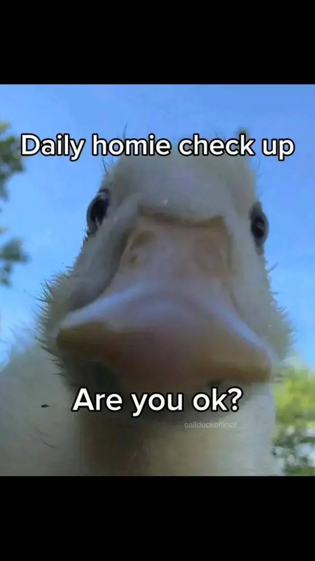 ai character: Tadc episode 8  background