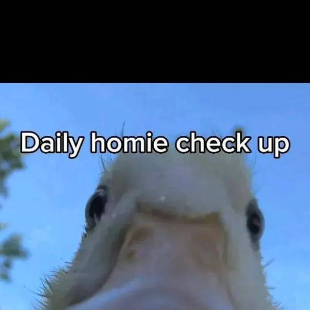 chat with ai character: Tadc episode 8 