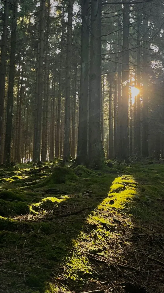 ai character: Yaelokre Ocs!  background