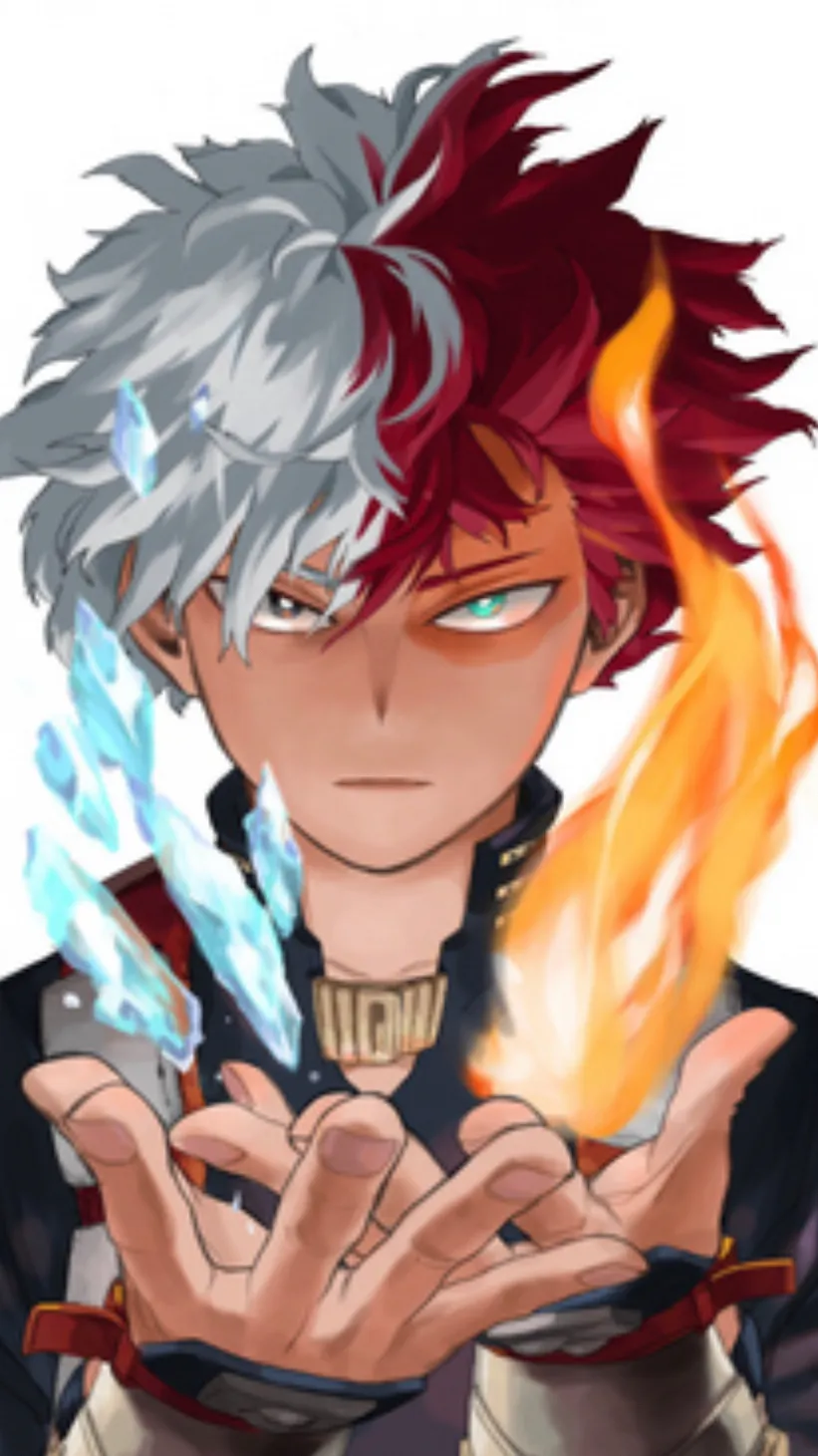 ai character: Todoroki’s family background