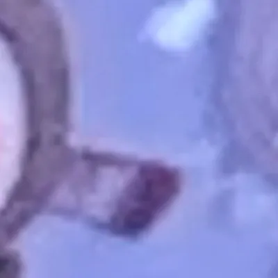 chat with ai character: Rodger x twisted