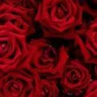 chat with ai character: ♤~Hazbin Hotel~♧