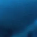 chat with ai character: ☆~COD: A Visit~☆