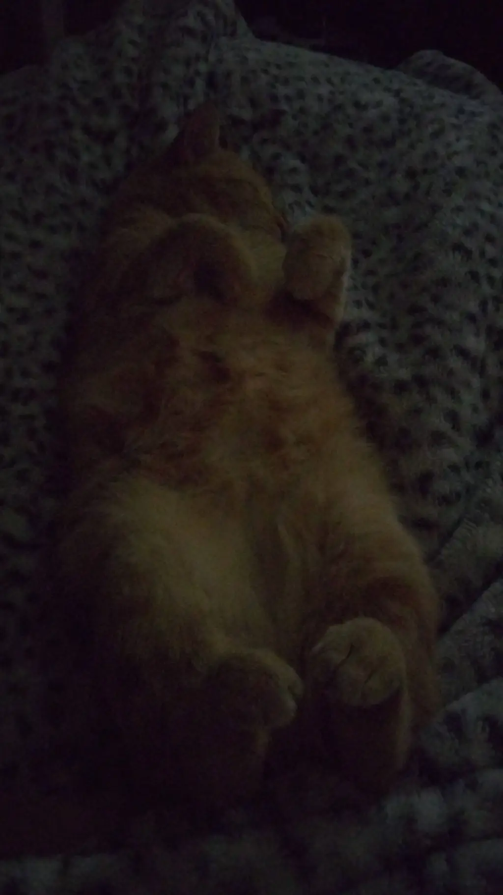 ai character: _ISSUED_ background