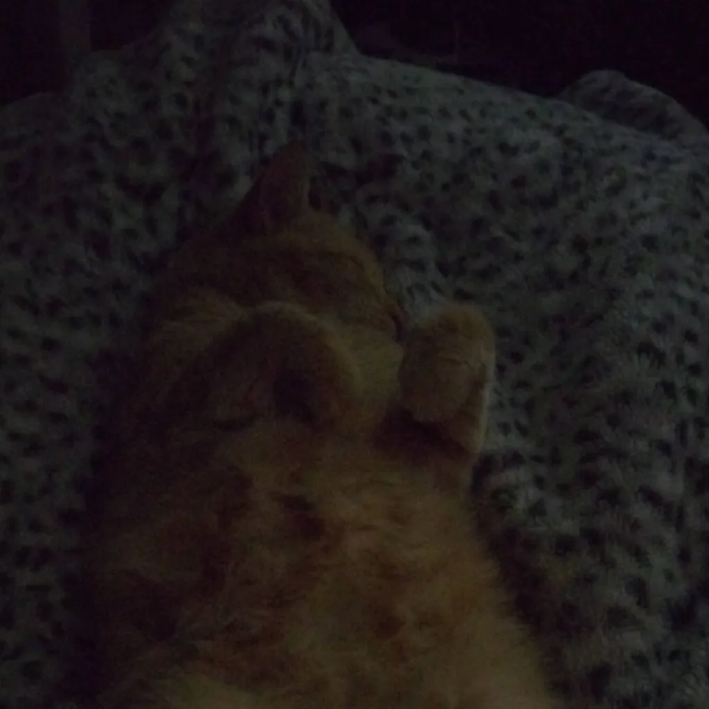 chat with ai character: _ISSUED_