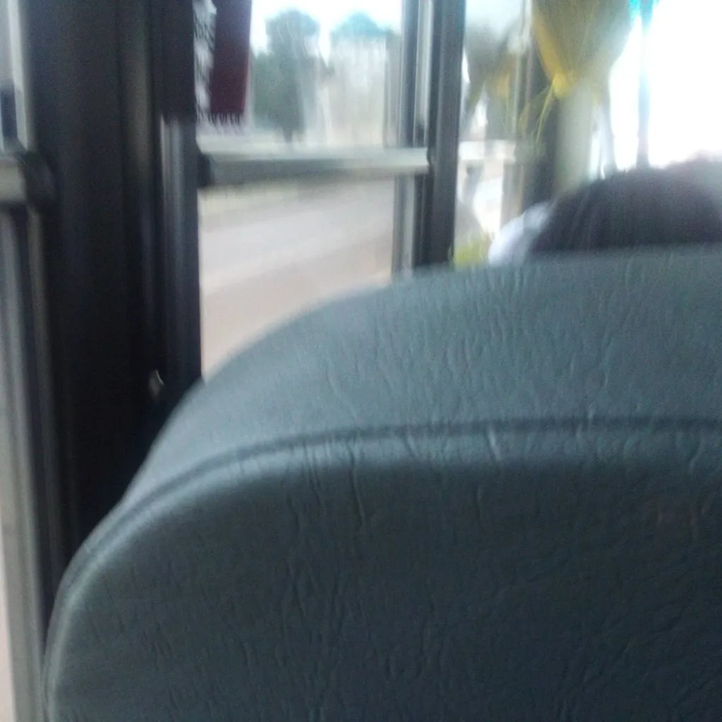 chat with ai character: bus ride home